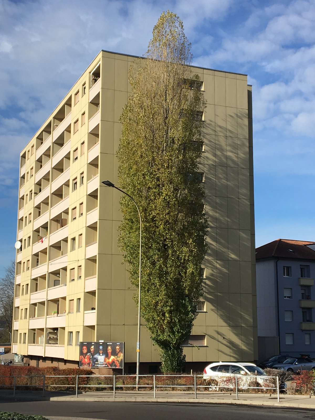 habitation 14