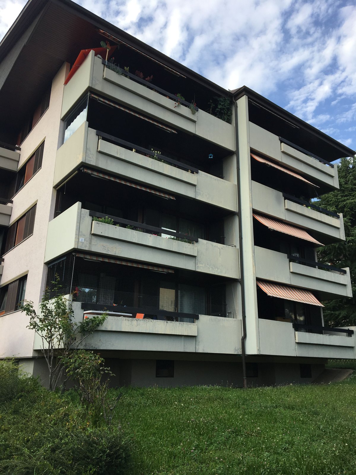 habitation 36
